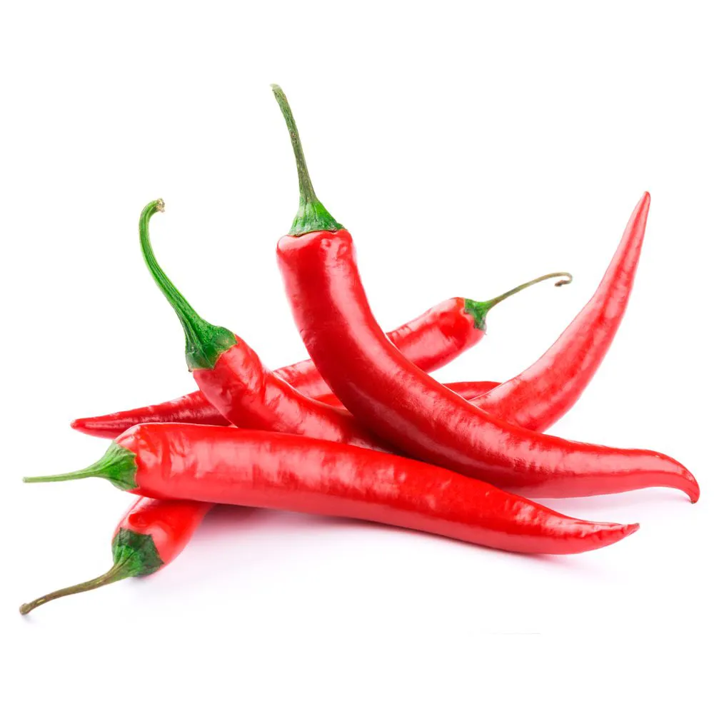 Pimenta dedo de moça